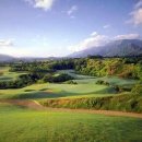 초원의 빛 이미지