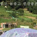 금수문화공원야영장(2) 이미지