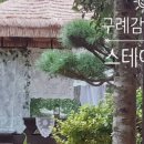 스테이 614 네이버블로그