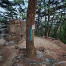 원주굽이길 1코스 가마바우길 이미지