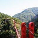 강천산 Daum카페