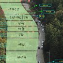 용인랜드숲속캠핑장 이미지