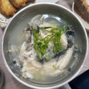 씨유뉴교동점 | [강원 속초] 먹을텐데 물회 가자미튀김 맛집 화진호 이선장네 리뷰 (내돈내산)