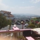 풍차랑 허브랑 이미지