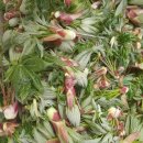 연희네집 이미지