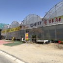 김사라꽃집