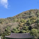 전주 여행 숨은명소 완산칠봉 사찰 정혜사 돌아온 산신탱