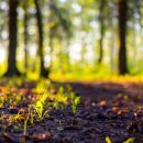 자유한의원 이미지