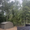 도란도란 그림책 산책 이미지