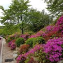 성원농장 이미지