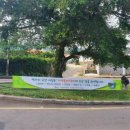 서홍동-3 이미지