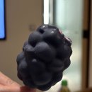 뚝섬한강공원-51 | 강원도 강릉 1박 2일 여행 : 숙소 맛집 식당 카페 소품샵 일정