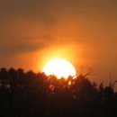 금성리 경로당 이미지