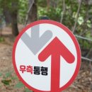 포일숲속마을 입구 이미지