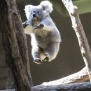 August31 | August(🦷)