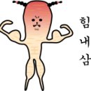 짚핑코리아