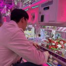 인형뽑기 이미지