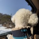 스테이 태정93 이미지