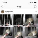 수원-0833 Daum카페