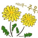 놀러와실내낚시카페 이미지