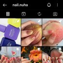 네일누하