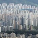 부동산 권리분석과 경매 이미지