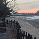 진펜션 | 🌊 대부도바닷가펜션 진 에메랄드방 숙박 후기 💚