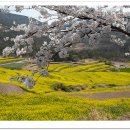 고향의 봄 이미지