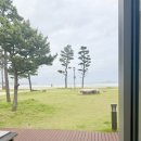 망상오토리조트 | 망상오토캠핑장 리조트 든바다 다녀온 후기 (명당 장소)