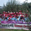 한서농장 이미지