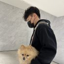 (주)리체바이오 | [블챌] 열 두번째 주간일기: 10월 둘째 주차