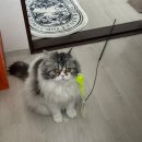 (주)웰리브 다정도시락 | 26년 3월 셋째주의 일상입니다.