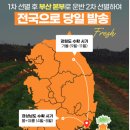 숙이농산 - 제주시 구남로 16 | 숙이농산