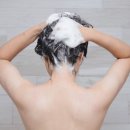 샾크드로잉