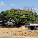 영흥축산 이미지