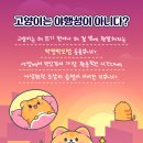 불광동물병원 이미지