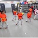 태비 튼튼태권도 이미지