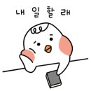 김철환짬뽕 이미지