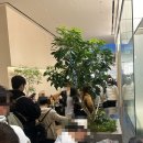 우백탄 스타필드수원점 | 수원 스타필드 팝업 박뚜기 소금빵 주말 웨이팅 얼떨결에 성공 후기