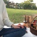 한윤팜