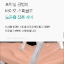 비피바이오