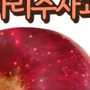 삼정농원 네이버블로그