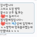 The조은태권도 이미지