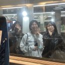 너쏠래 | 벌써 4월이라니 만우절은 어제였잖아