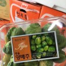 (주)테라팜 이미지