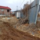 통일로 금촌농장 이미지