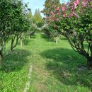 (유)영신정비 이미지