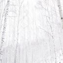 가야상사 이미지