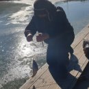 인산낚시터 이미지