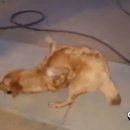 하늘병원 앞 이미지